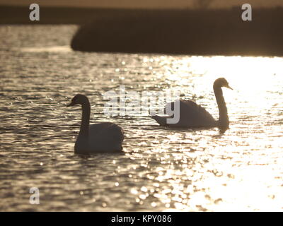 Sheerness, Kent, UK. Dec 18, 2017. Météo France : un matin ensoleillé à Sheerness (temp 4c à 9h00). Credit : James Bell/Alamy Live News Banque D'Images