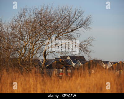 Sheerness, Kent, UK. Dec 18, 2017. Météo France : un matin ensoleillé (temp 4c à 9h00). Ciel bleu et des arbres d'hiver. Credit : James Bell/Alamy Live News Banque D'Images