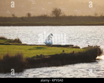 Sheerness, Kent, UK. Dec 18, 2017. Météo France : un matin ensoleillé (temp 4c à 9h00). Credit : James Bell/Alamy Live News Banque D'Images