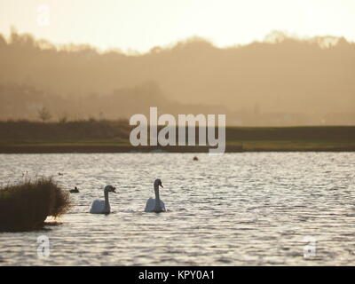 Sheerness, Kent, UK. Dec 18, 2017. Météo France : un matin ensoleillé (temp 4c à 9h00). Credit : James Bell/Alamy Live News Banque D'Images