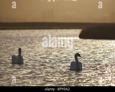 Sheerness, Kent, UK. Dec 18, 2017. Météo France : un matin ensoleillé (temp 4c à 9h00). Credit : James Bell/Alamy Live News Banque D'Images