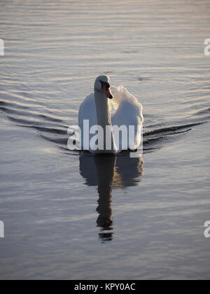 Sheerness, Kent, UK. Dec 18, 2017. Météo France : un matin ensoleillé (temp 4c à 9h00). Credit : James Bell/Alamy Live News Banque D'Images