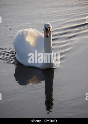 Sheerness, Kent, UK. Dec 18, 2017. Météo France : un matin ensoleillé (temp 4c à 9h00). Credit : James Bell/Alamy Live News Banque D'Images