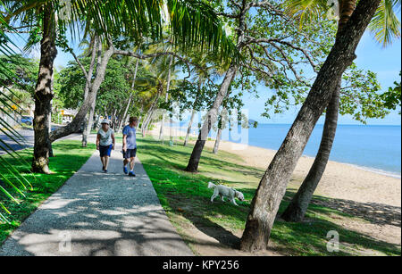 Couple leur chien le long de l'Esplanade, Trinity Beach, une banlieue populaire plages du nord de Cairns, l'extrême nord du Queensland, FNQ, Queensland, Austr Banque D'Images