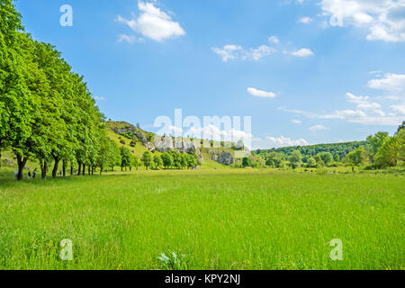 Eselsburger vallée Tal - pré vert Banque D'Images