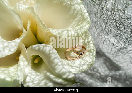 Bouquet de mariage, Blanc Calla palustris Marsh, Bog, Arum arum d'eau, la famille Araceae. Banque D'Images