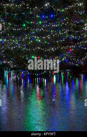 Les lumières d'arbre de Noël dans la nuit en Bourton On The Water, Cotswolds, Gloucestershire, Angleterre Banque D'Images