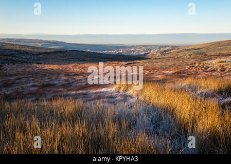 Couleurs d'hiver sur la lande au-dessus du village de fauche dans le Derbyshire, Angleterre. Un matin glacial froid avec la lumière de l'aube sur l'herbe et de la bruyère. Banque D'Images