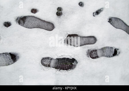 Gros plan d'empreintes de pas d'une personne et empreintes d'un chat dans la neige Banque D'Images