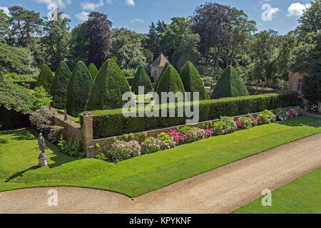 L'if géant pyramides en la grande cour à Athelhampton House, Puddletown, Dorset, England, UK Banque D'Images