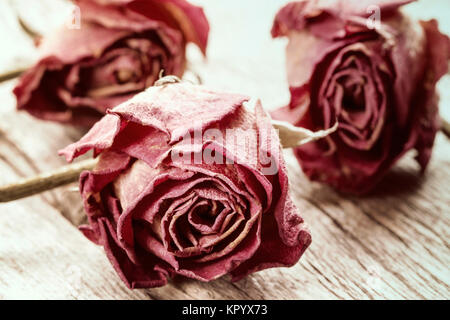 Close-up of dry roses Banque D'Images