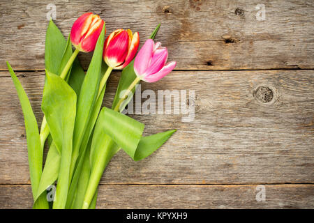 Trois magnifiques tulipes sur fond de bois Banque D'Images