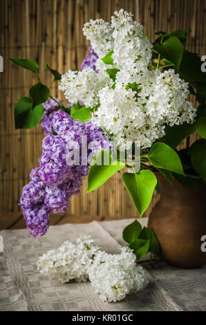 Avec la nature morte un bouquet de lilas, Close up Banque D'Images