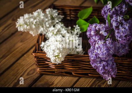 Avec la nature morte un bouquet de lilas, Close up Banque D'Images