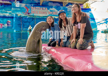 Dauphin de l'Irrawaddy, les droits de l'interaction des animaux. Banque D'Images