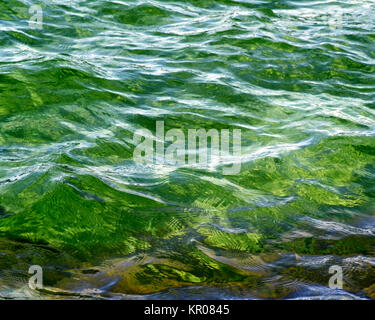 Belles eaux vert émeraude avec des ondulations sur la surface Banque D'Images