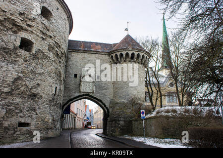 Les Paks Margareeta ou Fat Margaret, une ancienne tour défensive à Tallinn, Estonie, maintenant le Musée Maritime estonienne (Eesti Meremuuseum) Banque D'Images