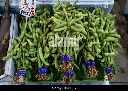 - Kanazawa au Japon, le 8 juin 2017 : Les grappes de soja immatures, edamame vert dans le pod, au marché Omicho Banque D'Images