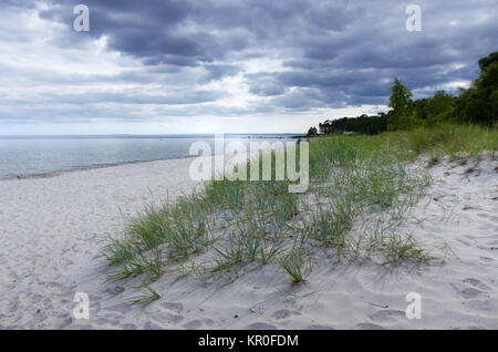 Plage avec des nuages de tempête Banque D'Images