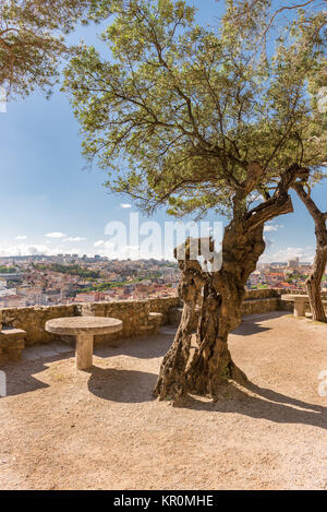 Le Château Sao Jorge vue de l'intérieur. Banque D'Images