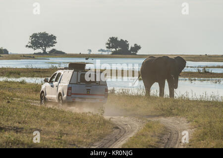 Passage de l'éléphant en jeep sunshine on riverbank Banque D'Images