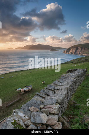Slea Head sur la péninsule de Dingle, comté de Kerry Banque D'Images