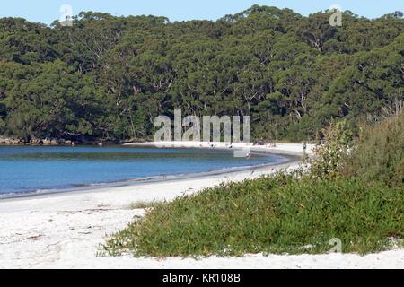 Jervis bay,green patch Banque D'Images