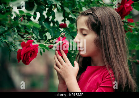 Portrait de jeune fille 8-12 ans holding et sentir les roses rouge bulgare à l'extérieur. Créatifs et colorés de l'image. Banque D'Images