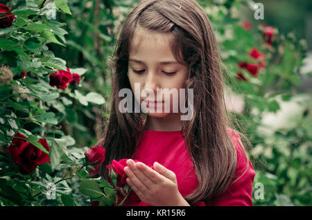 Portrait de jeune fille 8-12 ans holding et sentir les roses rouge bulgare à l'extérieur. Créatifs et colorés de l'image. Banque D'Images