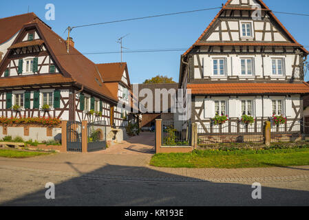 Maisons à colombages avec décoration florale, Seebach, petit village en Alsace, France, membre de l'association les plus beaux villages de France Banque D'Images