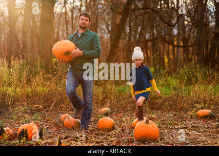 Père et fille picking citrouilles dans un potager Banque D'Images