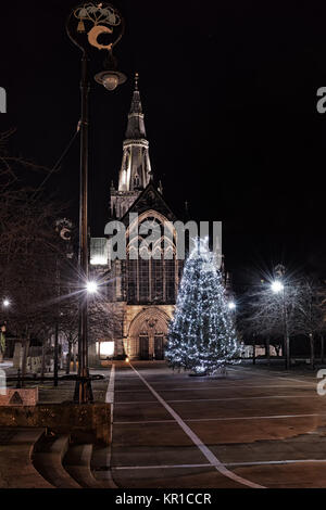 Arbre de Noël en face de la cathédrale St Mungo's à Glasgow, en Écosse, la nuit. Banque D'Images