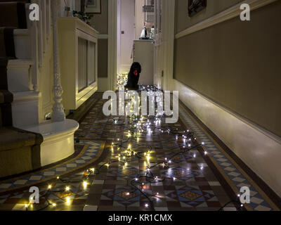 Un chien dans un couloir plein de lumières de Noël Banque D'Images