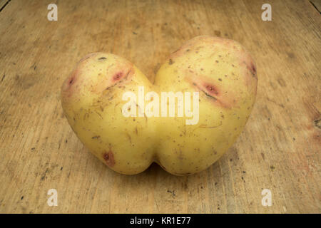 Siamois Conjoined pomme de terre sur une table de cuisine en bois avec l'exemplaire de l'espace. Wonky / drôle / légumes laid ou déchets alimentaires concept. Banque D'Images