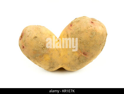 Siamois Conjoined pomme de terre sur un fond blanc avec l'exemplaire de l'espace. Wonky / drôle / légumes laid ou déchets alimentaires concept. Banque D'Images