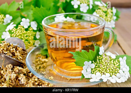 Plateau en verre fleurs viorne cup sur planche de bois Banque D'Images