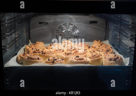 Noël sucré fait maison de levure à la cannelle et aux raisins avec canneberge, sur du papier sulfurisé sur la plaque de cuisson, à l'intérieur d'un four. Banque D'Images