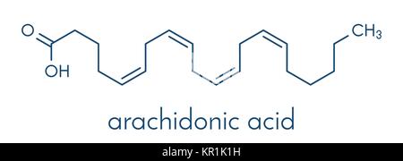 Molécule d'acide arachidonique. Les acides gras polyinsaturés oméga-6 qui est un précurseur des prostaglandines, thromboxanes, leucotriènes, la prostacycline et anan Illustration de Vecteur