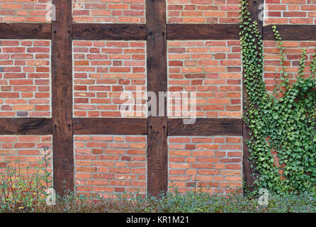 Maisons à pans de mur de brique rouge en partie couverte de lierre vert Banque D'Images