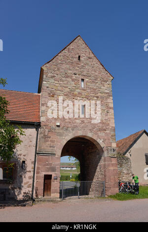 Gate tower, musée en plein air, Vessra, Thuringe, Allemagne, Torturm, Freilichtmuseum, Thuringe, Allemagne Banque D'Images