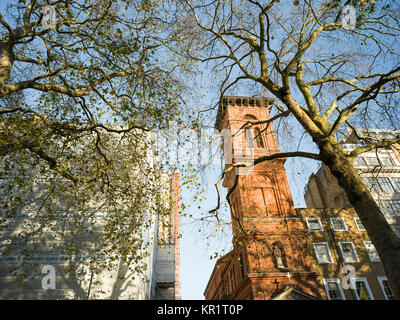 Arbres et St Patrick's Church Soho Square, Londres Banque D'Images