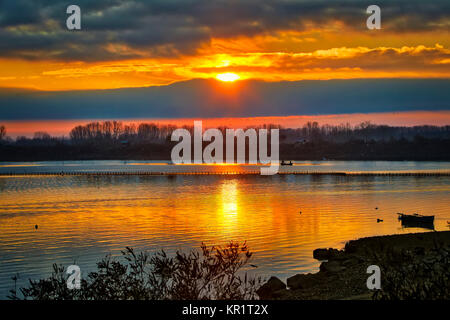 Le lever du soleil sur le milieu humide de Kerkini Lake un jour d'hiver dans le nord de la Grèce. effet atmosphérique Banque D'Images