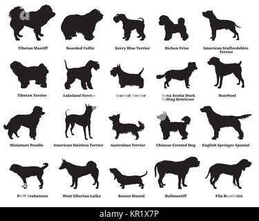 Vector set de chiens de races différentes silhouettes isolées en couleur noire sur fond blanc. Partie 5 Illustration de Vecteur