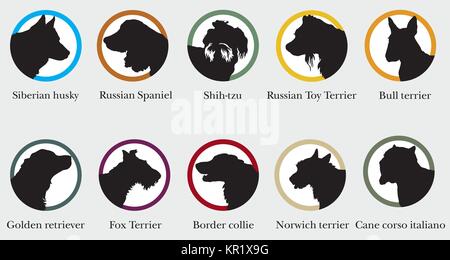 Vector set de ronds avec des portraits silhouettes de chiens de races. Image colorée Illustration de Vecteur