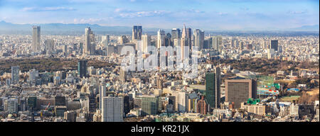 L'horizon de Tokyo Shinjuku Banque D'Images