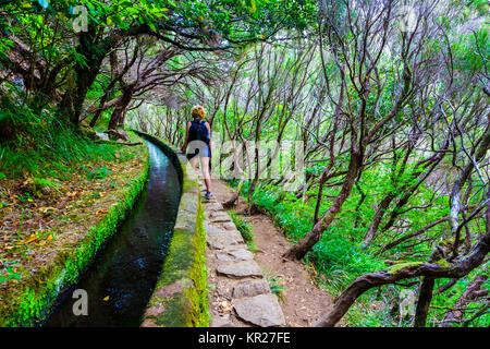 Randonnée femme dans une forêt laurisilva. Levada das 25 Fontes itinéraire. Madère, Portugal, Europe. Banque D'Images