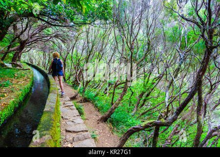 Randonnée femme dans une forêt laurisilva. Levada das 25 Fontes itinéraire. Madère, Portugal, Europe. Banque D'Images