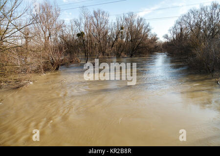 La rivière après les averses sont sortis des banques. L'inondation de rivière, arbres après une inondation Banque D'Images