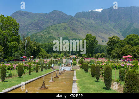 Jardin moghol à Srinagar, Inde Banque D'Images