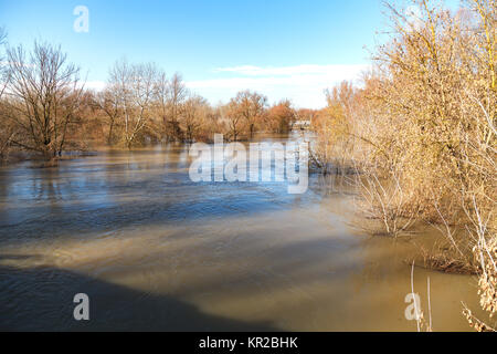 La rivière après les averses sont sortis des banques. L'inondation de rivière, arbres après une inondation Banque D'Images